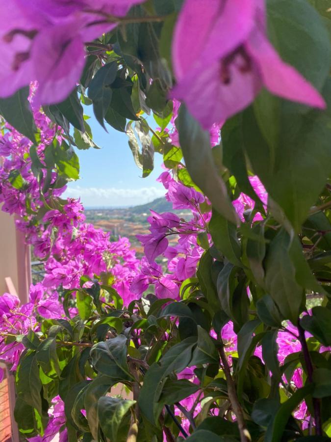 Villa Fieschi Cogorno Dış mekan fotoğraf